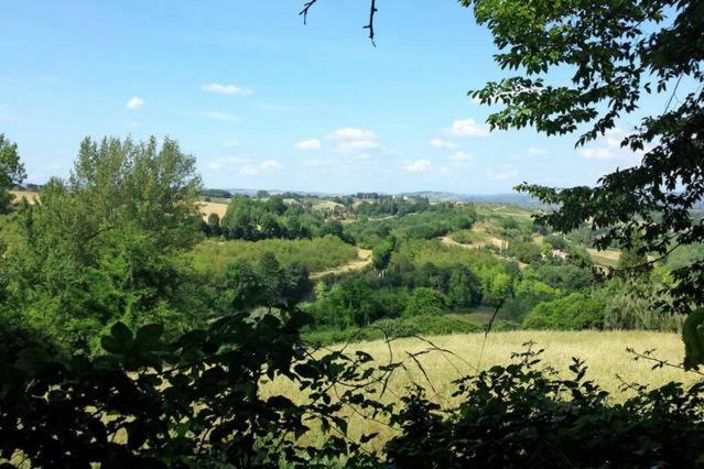 Nel Chianti Lungo La Francigena Apartamento Colle Val D'Elsa Exterior foto