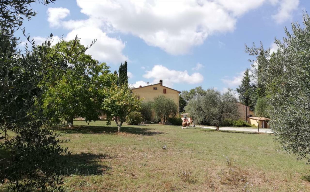 Nel Chianti Lungo La Francigena Apartamento Colle Val D'Elsa Exterior foto