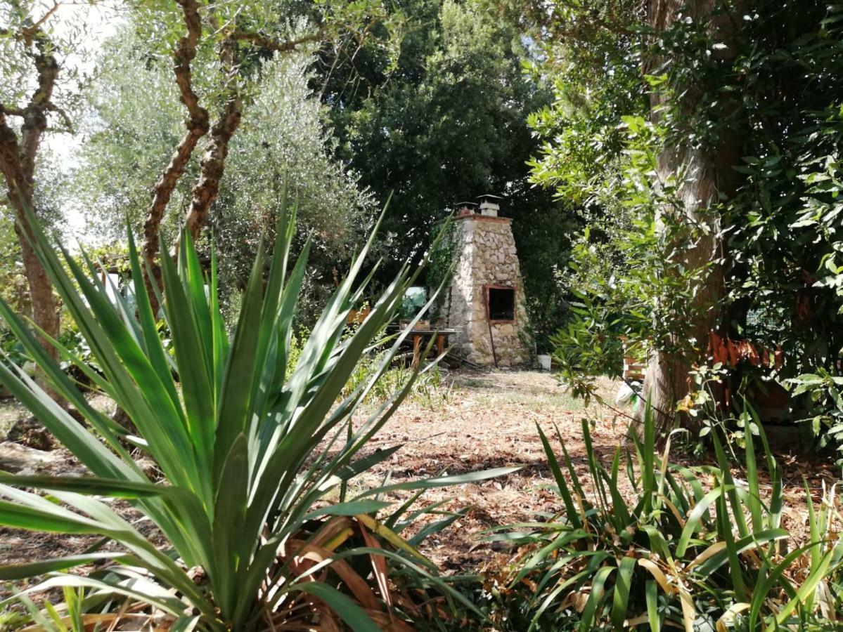 Nel Chianti Lungo La Francigena Apartamento Colle Val D'Elsa Exterior foto