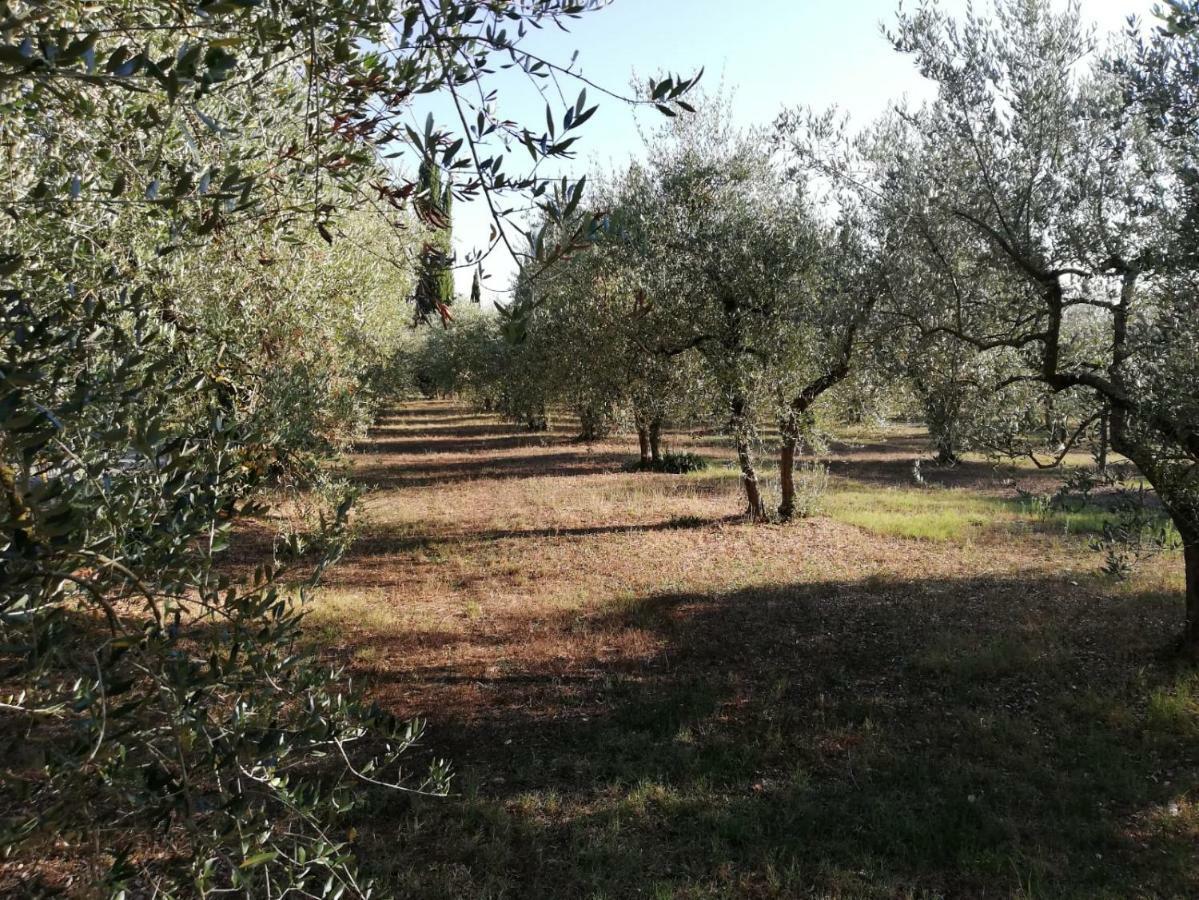 Nel Chianti Lungo La Francigena Apartamento Colle Val D'Elsa Exterior foto