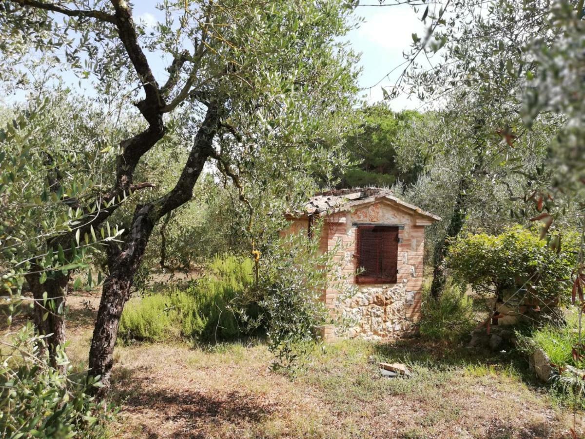 Nel Chianti Lungo La Francigena Apartamento Colle Val D'Elsa Exterior foto