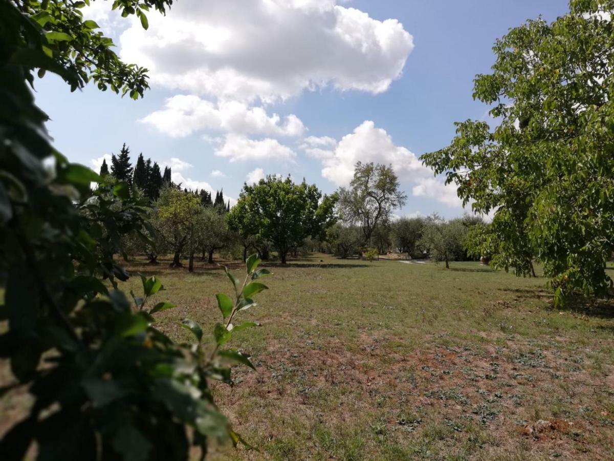 Nel Chianti Lungo La Francigena Apartamento Colle Val D'Elsa Exterior foto
