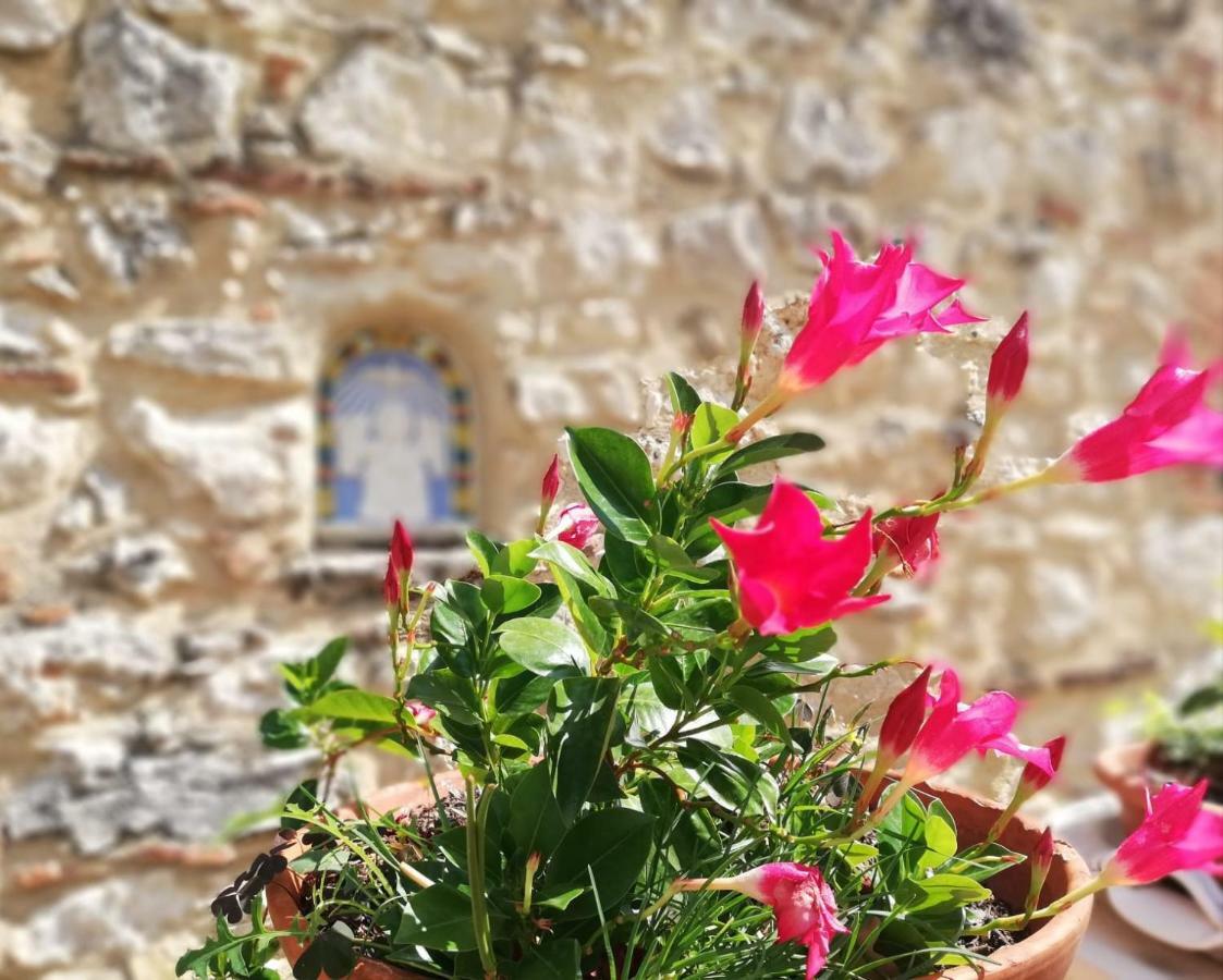 Nel Chianti Lungo La Francigena Apartamento Colle Val D'Elsa Exterior foto
