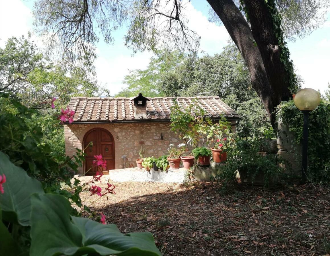 Nel Chianti Lungo La Francigena Apartamento Colle Val D'Elsa Exterior foto