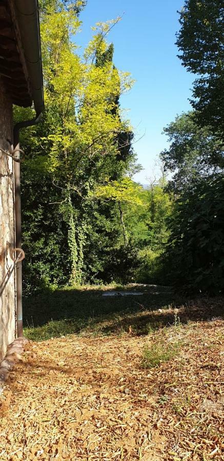 Nel Chianti Lungo La Francigena Apartamento Colle Val D'Elsa Exterior foto
