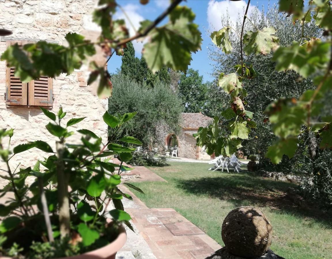 Nel Chianti Lungo La Francigena Apartamento Colle Val D'Elsa Exterior foto