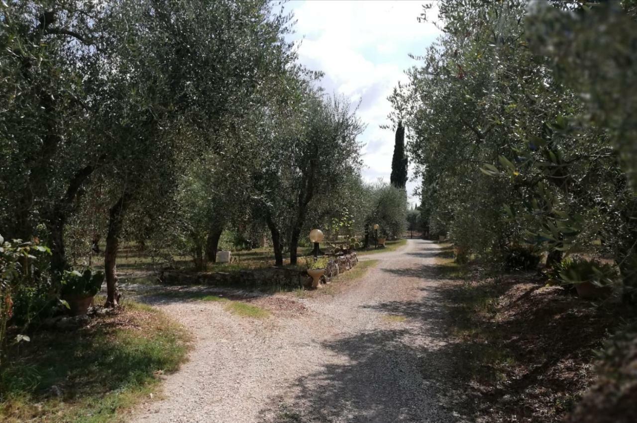 Nel Chianti Lungo La Francigena Apartamento Colle Val D'Elsa Exterior foto